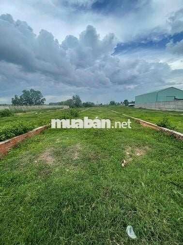 Đất kế bên KCN Đức Hoà 3 giâ tốt cho Anh Chị xây trọ đầu tư