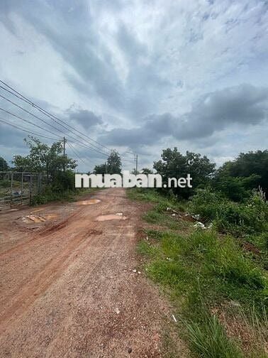 Chủ kẹt tiền cần để lại lô đất lớn 2589,3m2 liền kề VĐ3 giá cực tốt