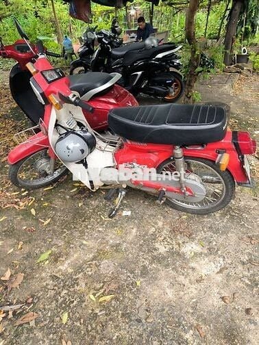 Xe cub