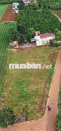 ĐẤT BÌNH THẠNH – ĐỨC TRỌNG GẦN SÂN BAY LIÊN KHƯƠNG Chỉ 640triệu