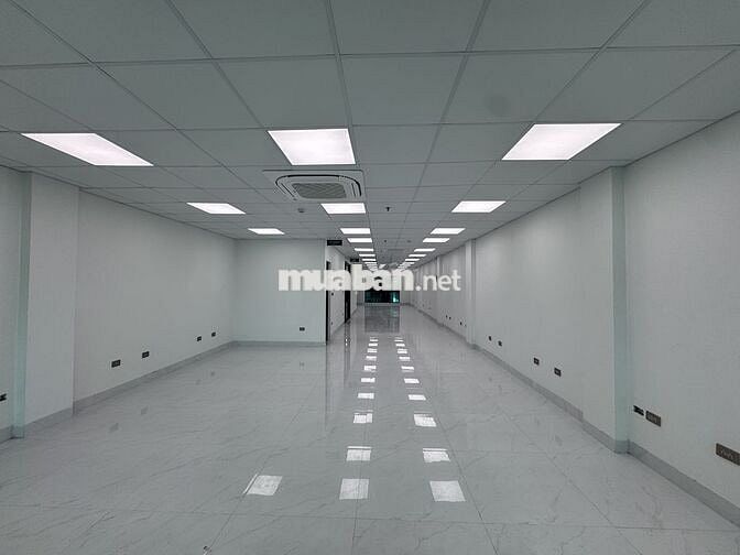 🏢 Cho thuê văn phòng Lạc Long Quân | 142m² sử dụng – 32tr