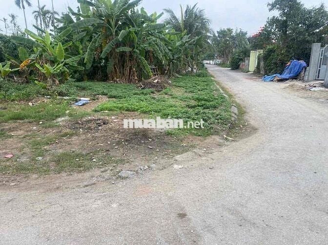 Chủ cần bán gấp lô góc 2  Mặt Đường Tiểu Trà, Hưng Đạo, Dương Kinh.