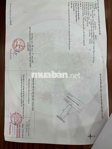 Bán đất đường 5m5 Cẩm Chánh 5 giá ***.