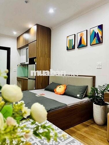 CĂN HỘ CAO CẤP- OTO ĐỖ CỬA- FULL ĐỒ HIỆN ĐẠI- 28M2