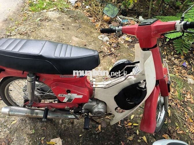 Xe cub