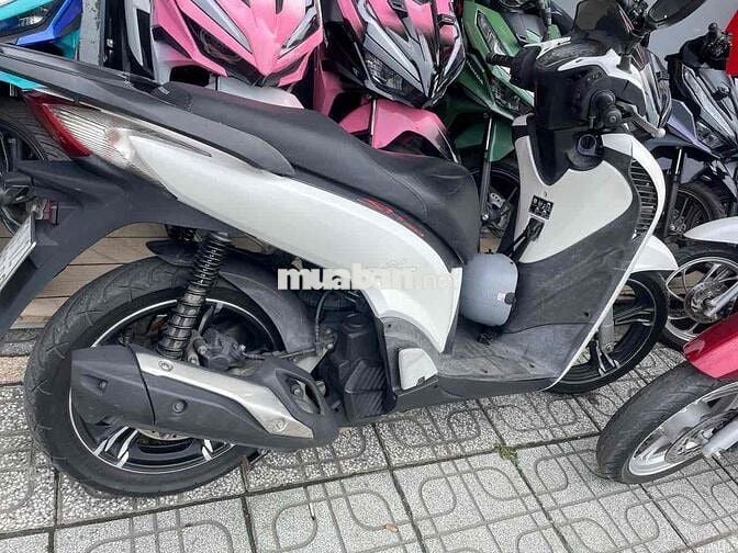 cần bán xe SH ở duong quang trưng phường 8 gò vấp