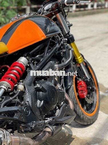 benelli 302