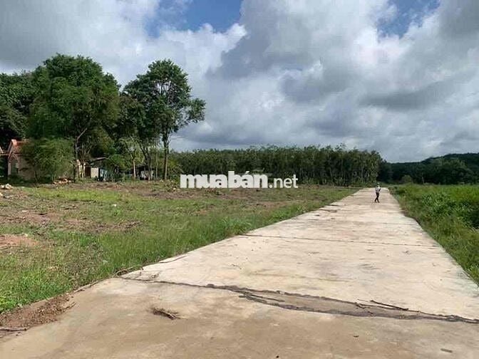 Đất Vườn Bình Phước Giá Tốt – Sổ Sẵn, Công Chứng Ngay!