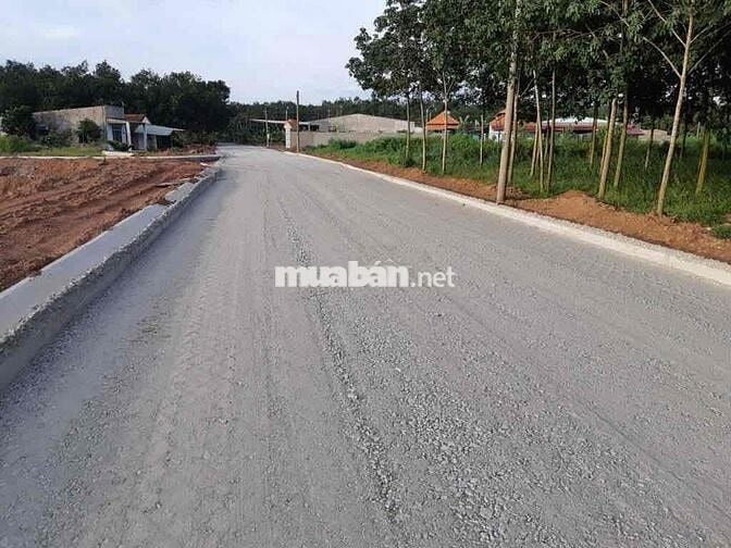 Đất Vườn Bình Phước Giá Tốt – Sổ Sẵn, Công Chứng Ngay!