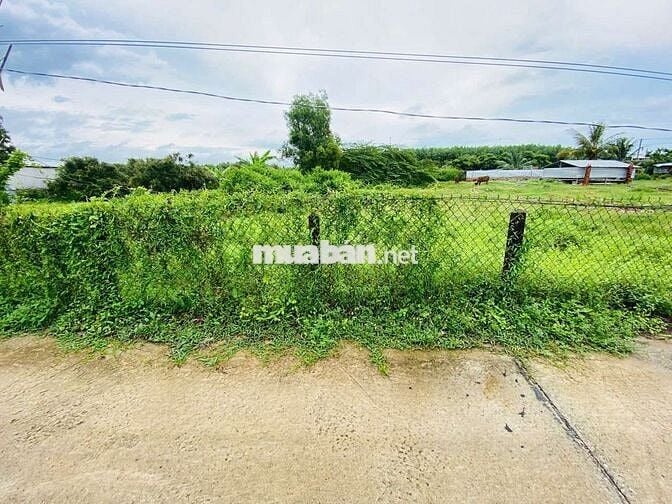 🌟 SIÊU PHẨM gần 1100m2 ĐẤT PHƯỚC HẢI – GIÁ CHỈ 4 TỶ chốt anh chị ơi.