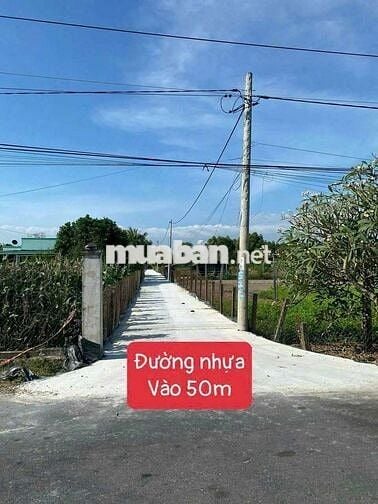 🌟 SIÊU PHẨM gần 1100m2 ĐẤT PHƯỚC HẢI – GIÁ CHỈ 4 TỶ chốt anh chị ơi.
