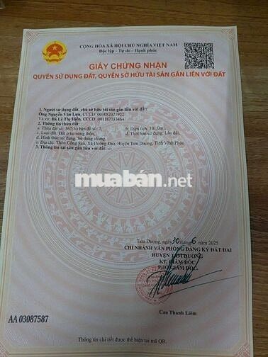 Bán Đất Full Thổ Cư Tam Dương Vĩnh Phúc