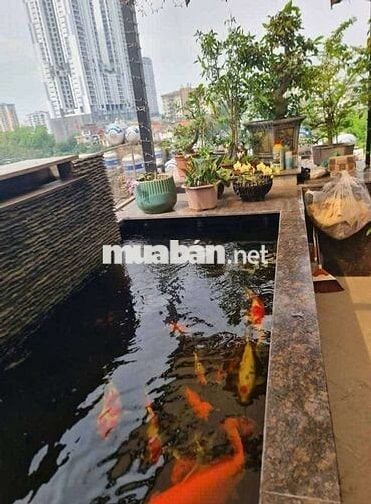 CẦN BÁN NHANH NHÀ ĐẤT LÊ QUANG ĐẠO KÉO DÀI MẶT TIỀN 5M HƯỚNG ĐÔNG NAM.