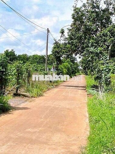 Đất gần ủy ban Tân Lợi, 6*32, giá 390