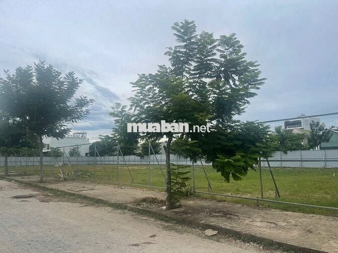 ĐẤT NỀN PHÚC GIA TÂN - CHỐT NGAY GIÁ HỜI - NHẬN NGAY ƯU ĐÃI
