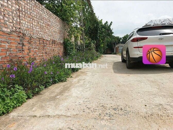 Bán Đất Full Thổ Cư Tam Dương Vĩnh Phúc
