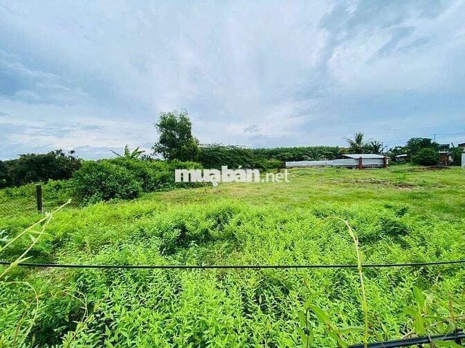 🌟 SIÊU PHẨM gần 1100m2 ĐẤT PHƯỚC HẢI – GIÁ CHỈ 4 TỶ chốt anh chị ơi.