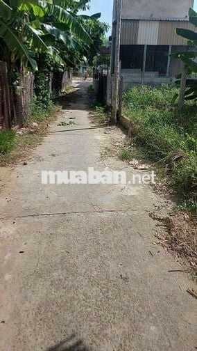 Gđ cần tiền cần ra nhanh lô đất tâm huyết xã Điện Hồng (cũ)