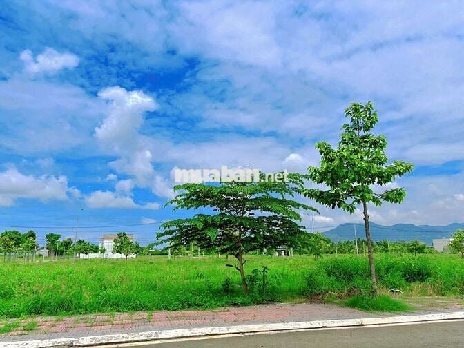 Kẹt tiền bán gấp 133m2 (7x19m) full thổ cư, đang dự kiến xây nhà