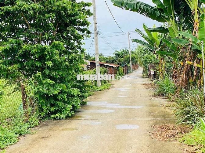 🌟 SIÊU PHẨM gần 1100m2 ĐẤT PHƯỚC HẢI – GIÁ CHỈ 4 TỶ chốt anh chị ơi.