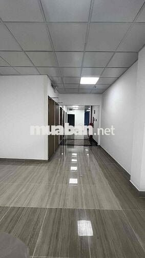 ✅ CHO THUÊ TOÀ NHÀ VĂN PHÒNG 5 LẦU HẦM XE ĐƯỜNG BẠCH ĐẰNG_TÂN BÌNH