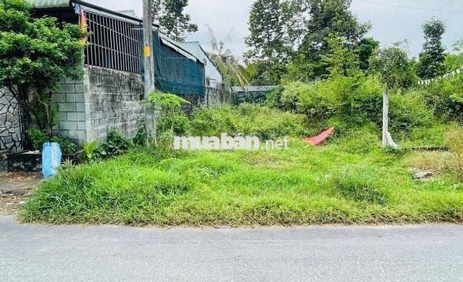 Đất Mt Lê Thị Vui - Phước Hiệp - Tân An Hội mới dt : 5m x 39m 1ty9