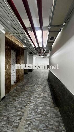 ✅ CHO THUÊ TOÀ NHÀ VĂN PHÒNG 5 LẦU HẦM XE ĐƯỜNG BẠCH ĐẰNG_TÂN BÌNH