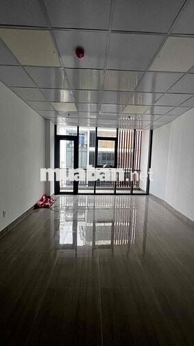 ✅ CHO THUÊ TOÀ NHÀ VĂN PHÒNG 5 LẦU HẦM XE ĐƯỜNG BẠCH ĐẰNG_TÂN BÌNH