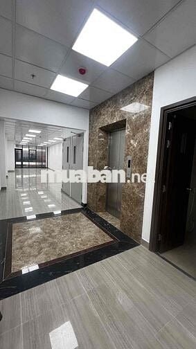 ✅ CHO THUÊ TOÀ NHÀ VĂN PHÒNG 5 LẦU HẦM XE ĐƯỜNG BẠCH ĐẰNG_TÂN BÌNH