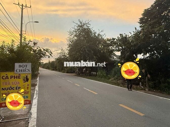 Đất Chính Chủ 1699m2 mặt tiền Đỗ Đăng Tuyển Củ Chi cần tìm chủ mới