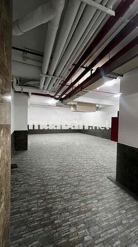✅ CHO THUÊ TOÀ NHÀ VĂN PHÒNG 5 LẦU HẦM XE ĐƯỜNG BẠCH ĐẰNG_TÂN BÌNH