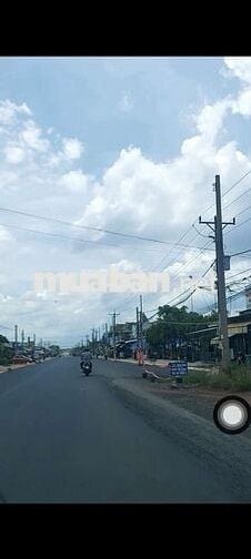CẦN VỐN KD NÊN BÁN 1671,9M2 ĐẤT TRỒNG CÂY LÂU NĂM Ở BÀU LÂM, BRVT