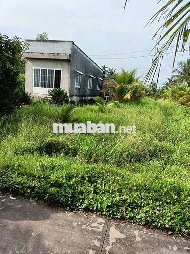 Đất sổ đỏ 641.9m2 Phước Hậu, Tam Phước, Châu Thành, Bến Tre