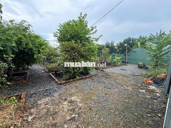 🟢Cho thuê nhà + đất nguyên căn  Thạnh Xuân Tx25 quận 12  400m2 (20 x 2