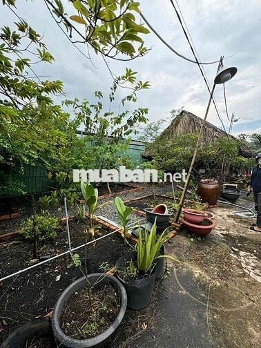 🟢Cho thuê nhà + đất nguyên căn  Thạnh Xuân Tx25 quận 12  400m2 (20 x 2