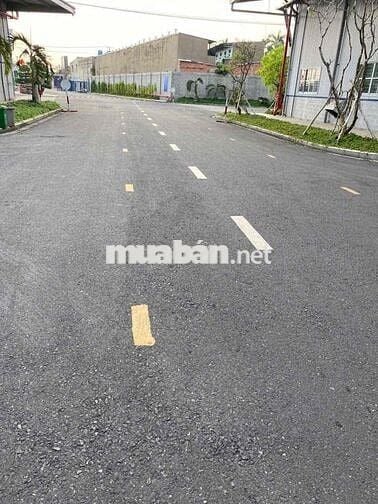 Cho Thuê Kho Xưởng 500m2 - 1000m2 Trong Kcn Vĩnh Lộc, Đường Công 24h