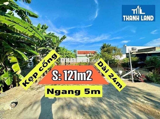 Tôi bán đất Tân Hạnh - Hoà Xuân - Đất ở đô thị