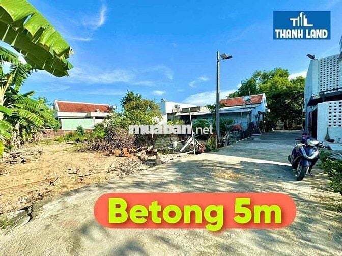 Tôi bán đất Tân Hạnh - Hoà Xuân - Đất ở đô thị