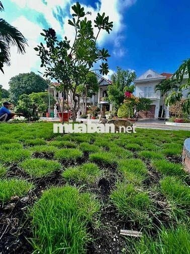 Cho Thuê Nguyên Căn Biệt Thự DT600m2 1Trệt 2Lầu 5Pn 6Wc Gara Ôtô