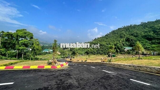 43 lô DT từ 250m2 - hơn 300m2 tại Đồng Vỡ - Phú Cát - HN từ 15tr/m2.