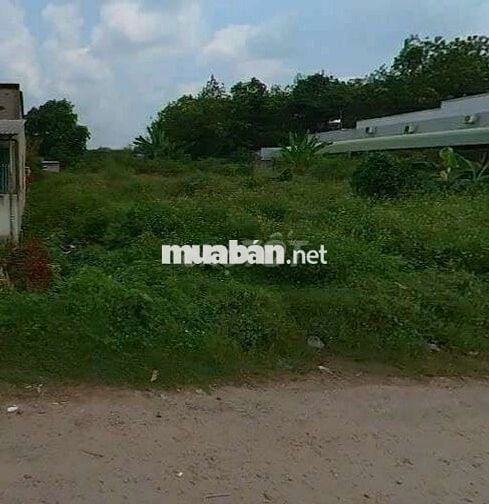 Bán hòa vốn lô đất 88m2 đường Rạch Cái Trung, Tân Kiên , Bình Chánh