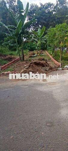 Đất sổ riêng thạnh phước giá rẻ