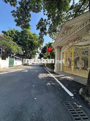 🌿 YÊN HÀ – HẢI BỐI – 56M² ĐẤT ĐẸP, Ở SANG – ĐẦU TƯ SINH LỜI 🌿