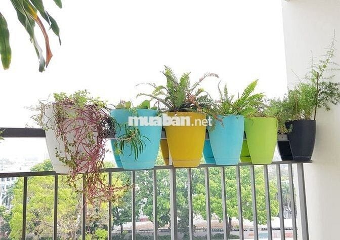 PHÒNG KINH DOANH CHO THUÊ 2PN 12TR FULL ĐẸP MOONLIGHT NHÀ MỚI TINH