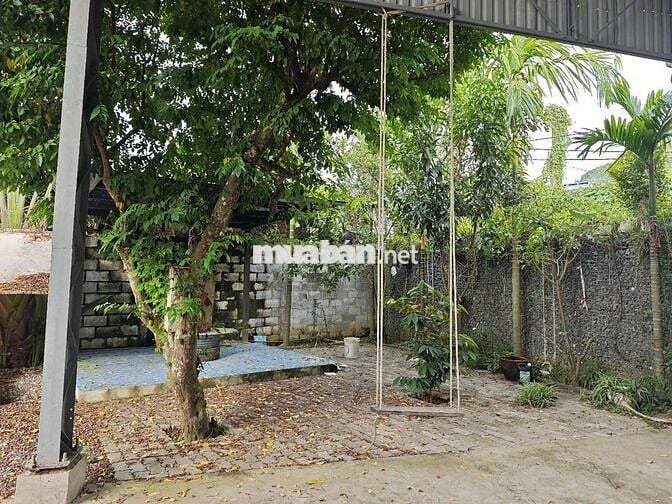 Đất mặt tiền hoàng văn thái củ