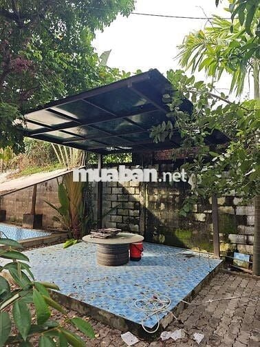 Đất mặt tiền hoàng văn thái củ