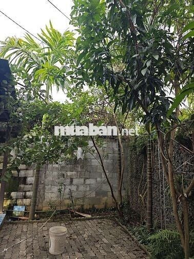 Đất mặt tiền hoàng văn thái củ