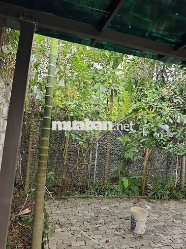 Đất mặt tiền hoàng văn thái củ