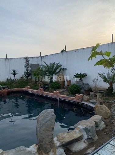 Cho thuê nhà vườn 1650m2 Củ Chi