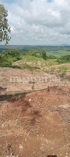 CẦN BÁN 5,2 HEC-TA”GIÁ RẺ VIEW SUỐI ĐẸP. QL 29, XÃ CƯPRAO, MĐRĂK, ĐĂK 
